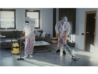 Top Cleaning Services in Victoria
