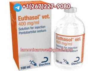 Telegrm+12672279080.Buy Sodium Pentobarbital 400Mg/Ml Injection In Australia