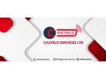 revolutionize-your-data-management-with-castelo-services-small-0