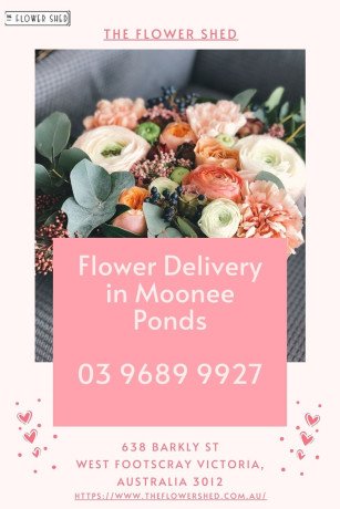 flower-delivery-moonee-ponds-big-0