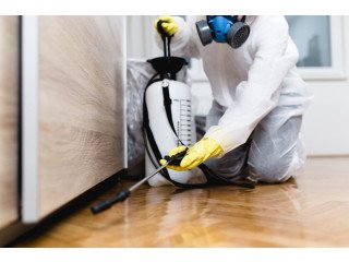 Book Quality Pest Control Services in Baulkham Hills Today!